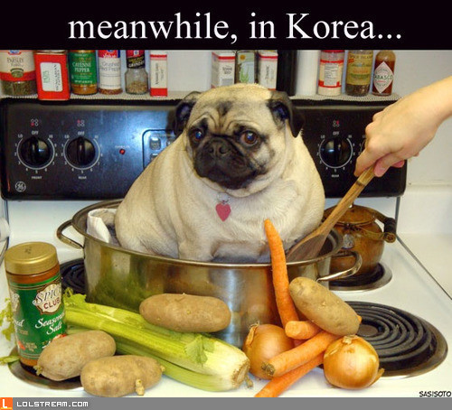 Meanwhile, in Korea...