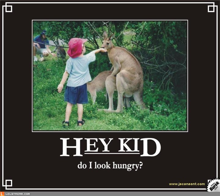 Don't bother the kangaroo