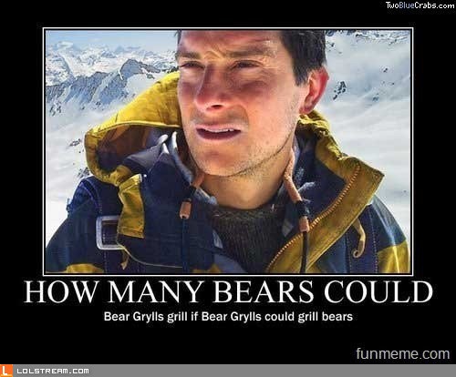 How Many Bears...