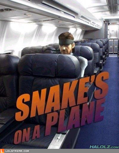 Snake's On A Plane