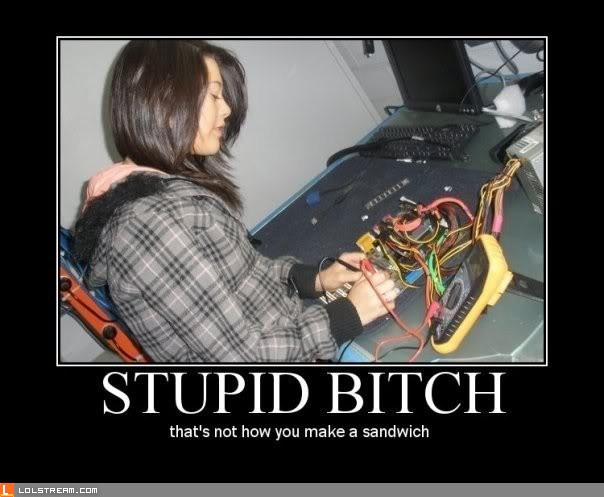 Stupid Bitch