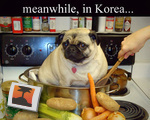 Meanwhile, in Korea...