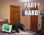 PARTY HARD!