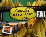 Fail