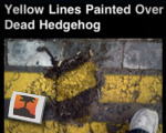 Line painting fail