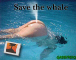 Greenpeace