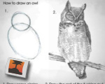 How to draw an owl