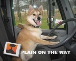 Get in, quick!