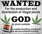 WANTED