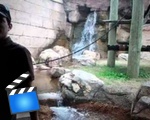 Jealous alpha male monkey attacks man