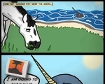 The Origin Of Unicorns