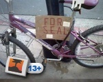 For Seal