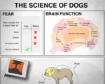 The Science of Dogs