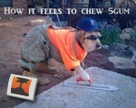 Good Analogy