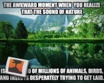 The Sound of Nature