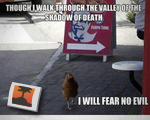 Fearless Chicken