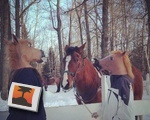 Horsing Around