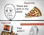 Ants On My Pizza