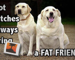 Hot Bitches