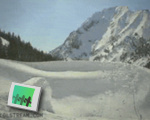 Ski Accident