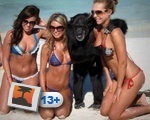 My Kind of Monkey