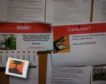 Vegan? pfft