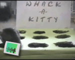 Whack-a-Kitty