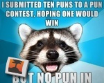 I submitted ten puns to a pun contest