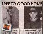 Free to good home