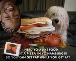 Xzibit food